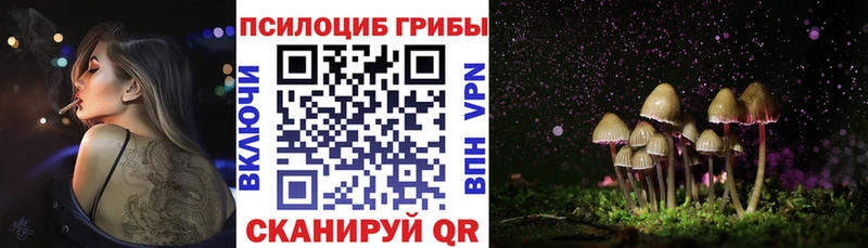 Псилоцибиновые грибы Psilocybine cubensis  Советский 