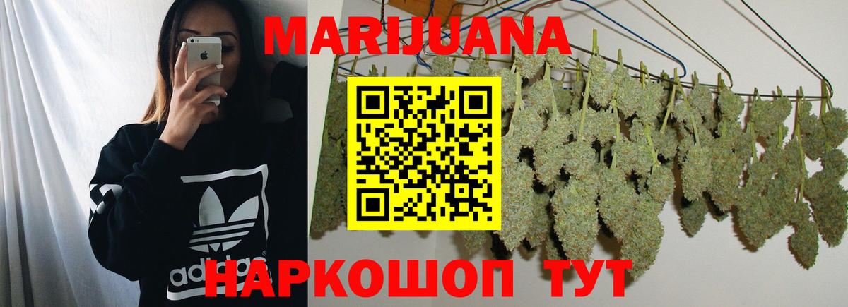 Каннабис MAZAR Советский